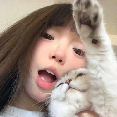 剧集综艺