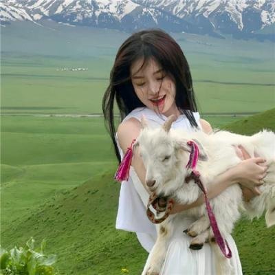 怪医杜立德5:百万傻蛋